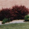 Karlan Memorial Library